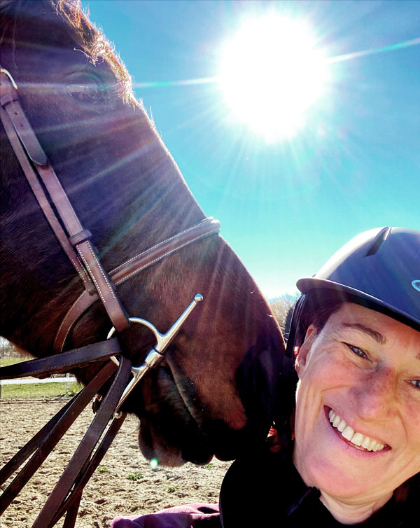 a portrait of a horse