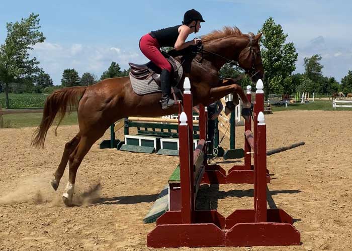 a person and horse jumping over a fence