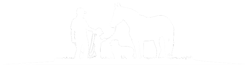 a silhouette of horses and riders